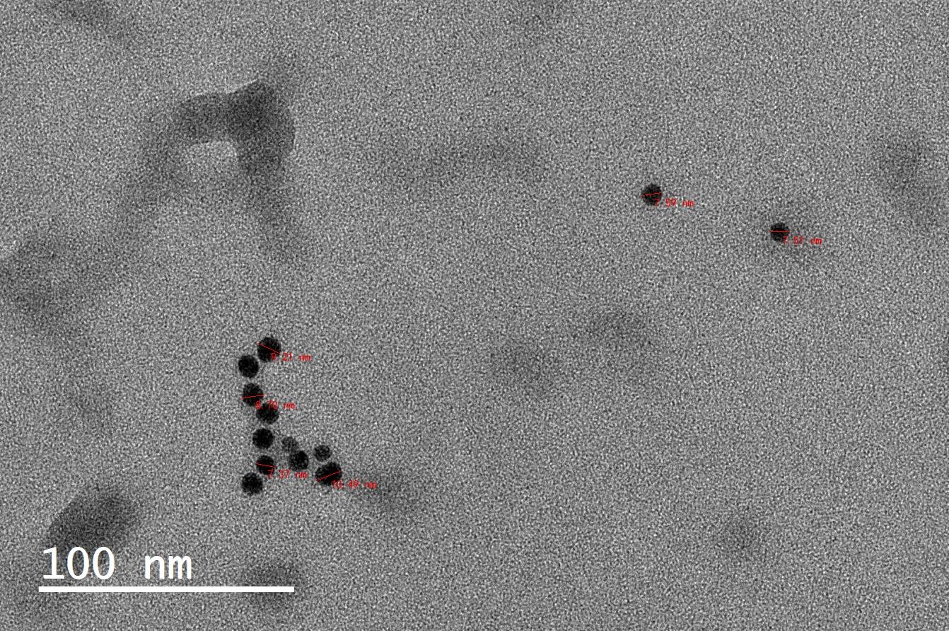 纳米银颗粒 5nm