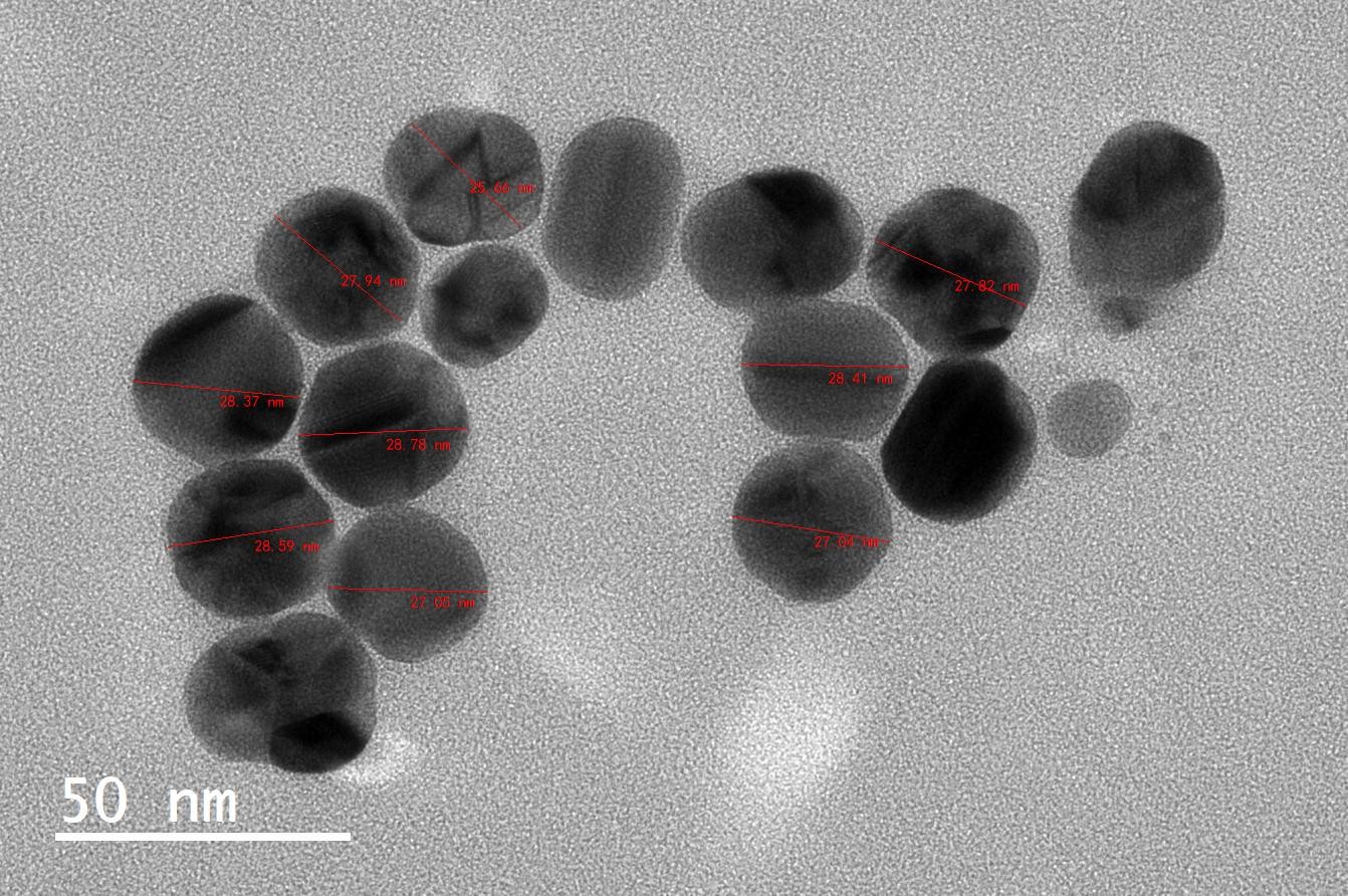 纳米银颗粒 50nm